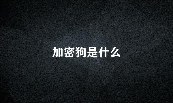 加密狗是什么