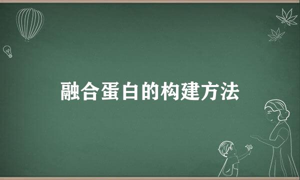 融合蛋白的构建方法