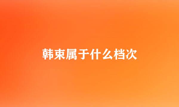 韩束属于什么档次