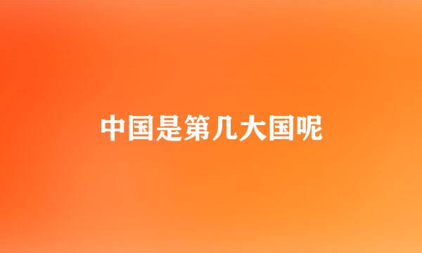 中国是第几大国呢