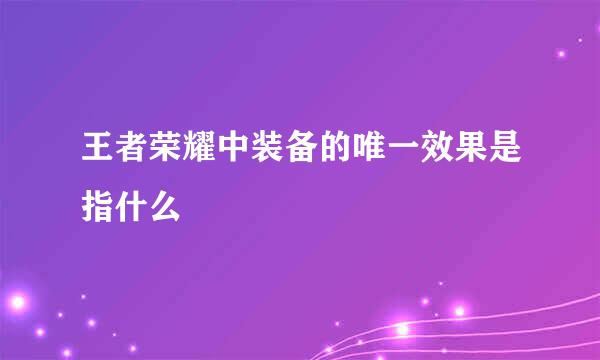 王者荣耀中装备的唯一效果是指什么