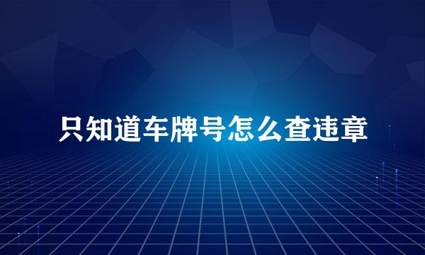 只知道车牌号怎么查违章