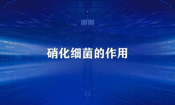 硝化细菌的作用