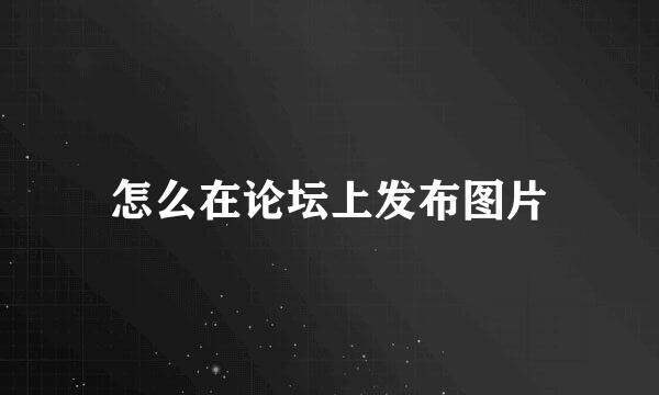 怎么在论坛上发布图片