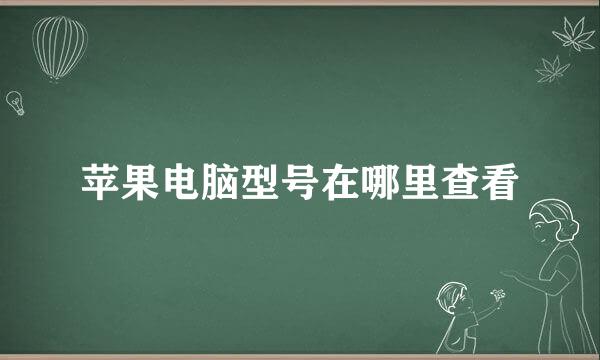 苹果电脑型号在哪里查看