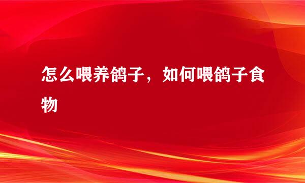 怎么喂养鸽子，如何喂鸽子食物