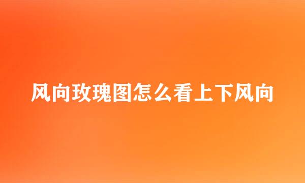 风向玫瑰图怎么看上下风向