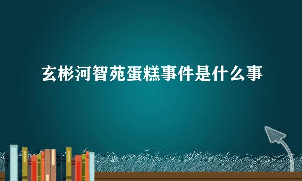 玄彬河智苑蛋糕事件是什么事