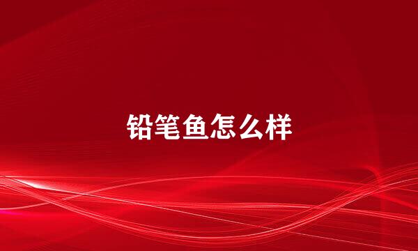 铅笔鱼怎么样