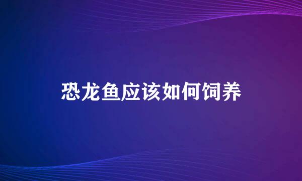 恐龙鱼应该如何饲养