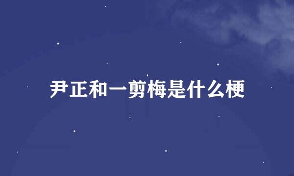 尹正和一剪梅是什么梗