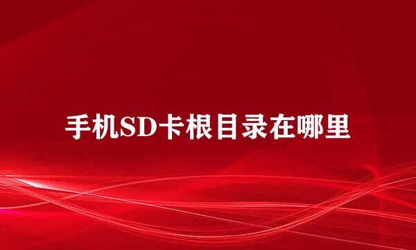 手机SD卡根目录在哪里