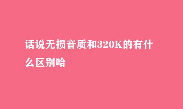 话说无损音质和320K的有什么区别哈