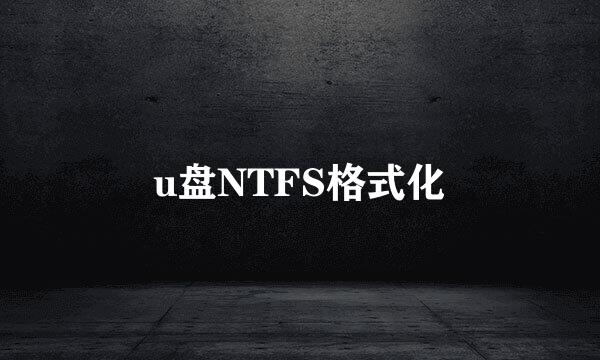 u盘NTFS格式化