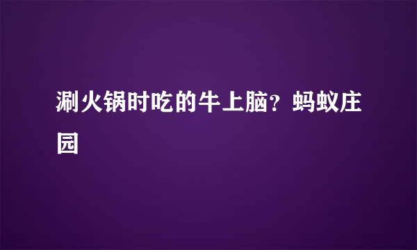 涮火锅时吃的牛上脑？蚂蚁庄园