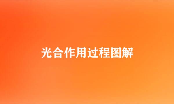 光合作用过程图解