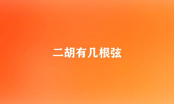 二胡有几根弦