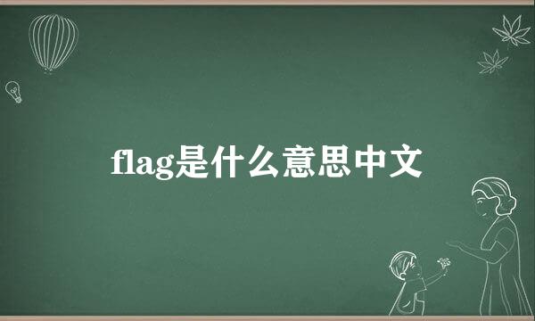 flag是什么意思中文
