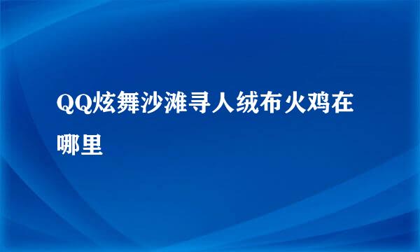 QQ炫舞沙滩寻人绒布火鸡在哪里