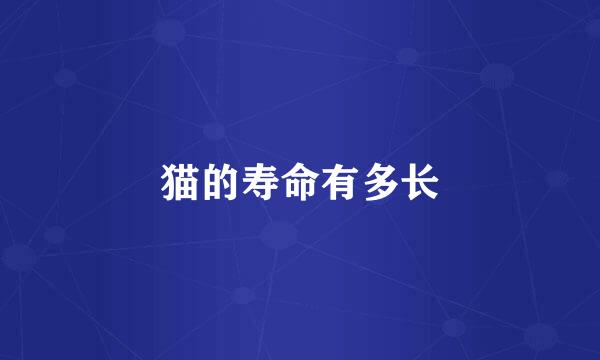 猫的寿命有多长