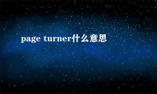 page turner什么意思