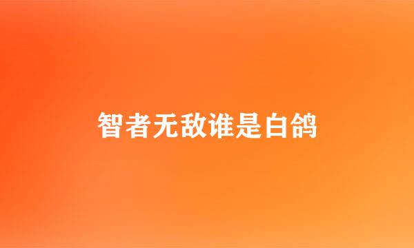 智者无敌谁是白鸽