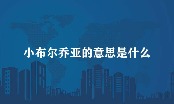 小布尔乔亚的意思是什么