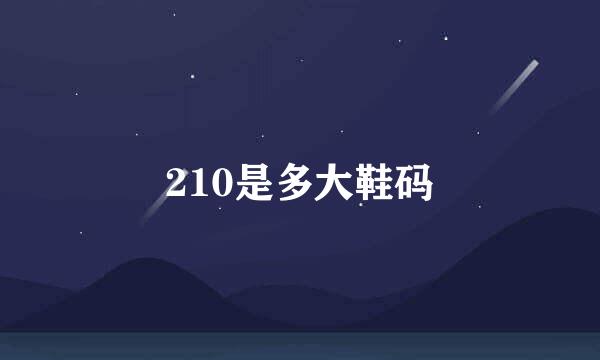 210是多大鞋码