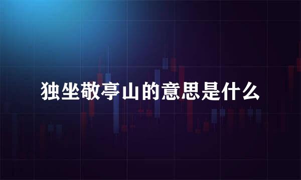 独坐敬亭山的意思是什么