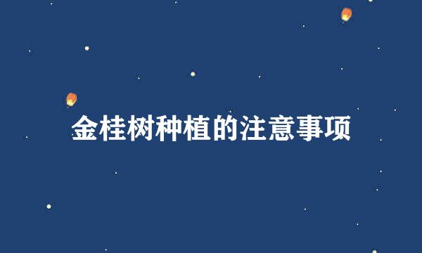 金桂树种植的注意事项