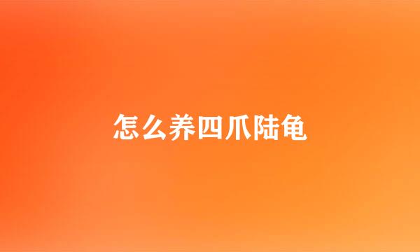 怎么养四爪陆龟