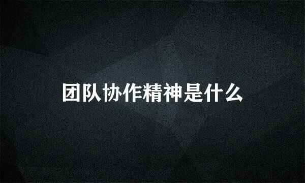 团队协作精神是什么