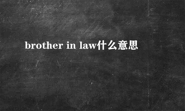 brother in law什么意思