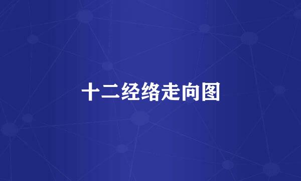 十二经络走向图