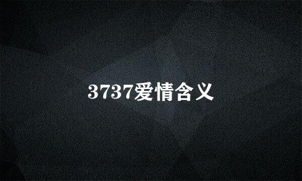 3737爱情含义