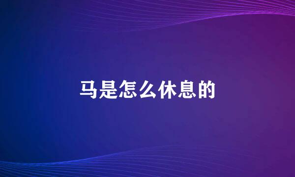 马是怎么休息的
