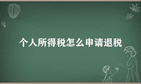 个人所得税怎么申请退税