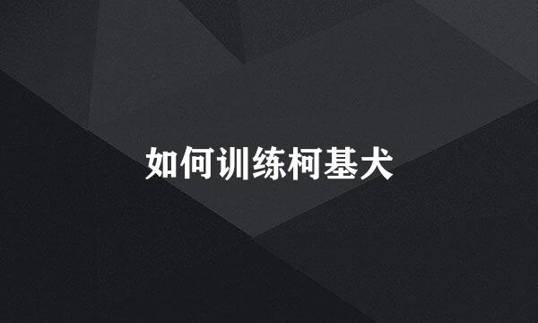 如何训练柯基犬