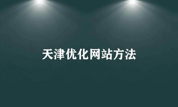 天津优化网站方法