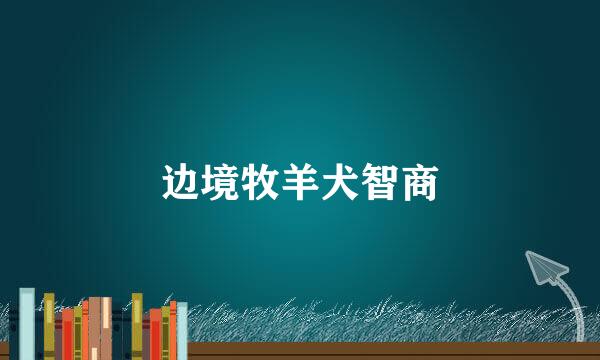 边境牧羊犬智商