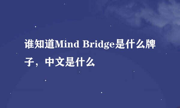 谁知道Mind Bridge是什么牌子，中文是什么