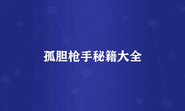 孤胆枪手秘籍大全