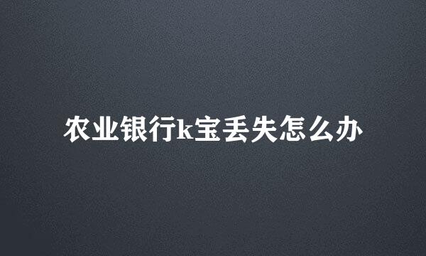 农业银行k宝丢失怎么办