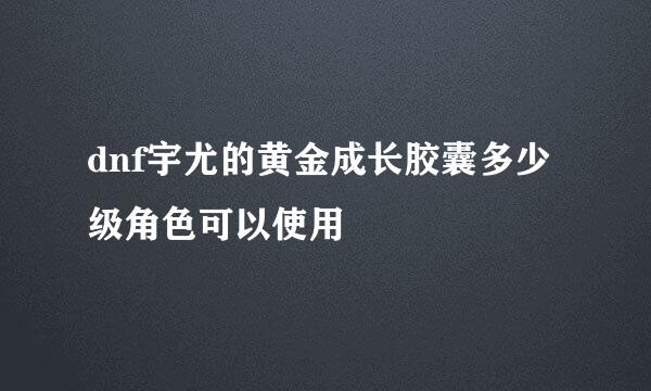 dnf宇尤的黄金成长胶囊多少级角色可以使用