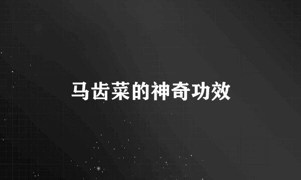 马齿菜的神奇功效