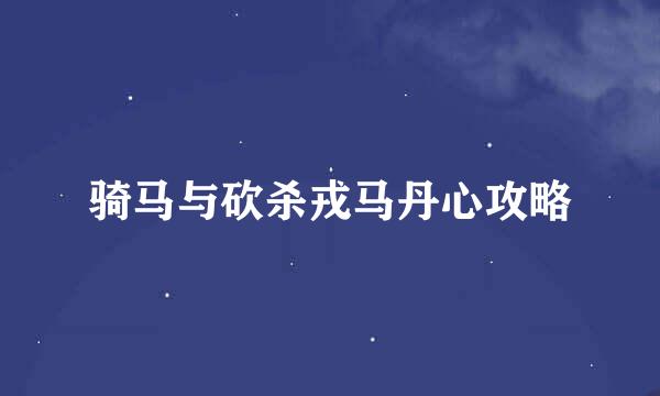 骑马与砍杀戎马丹心攻略