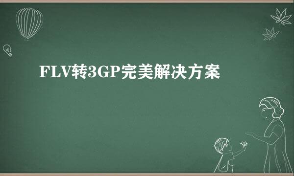FLV转3GP完美解决方案