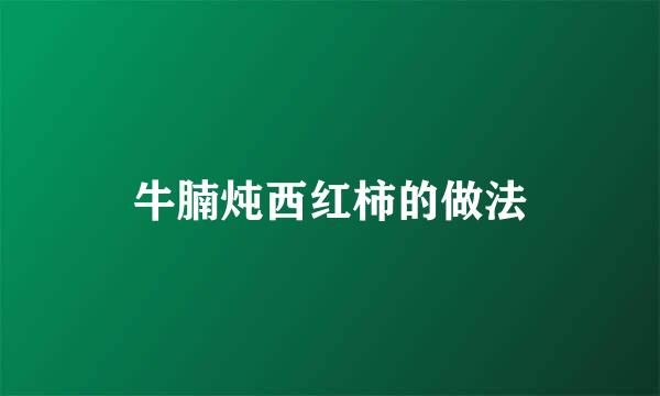 牛腩炖西红柿的做法