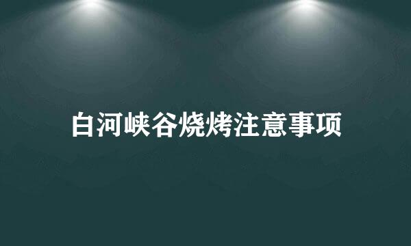 白河峡谷烧烤注意事项