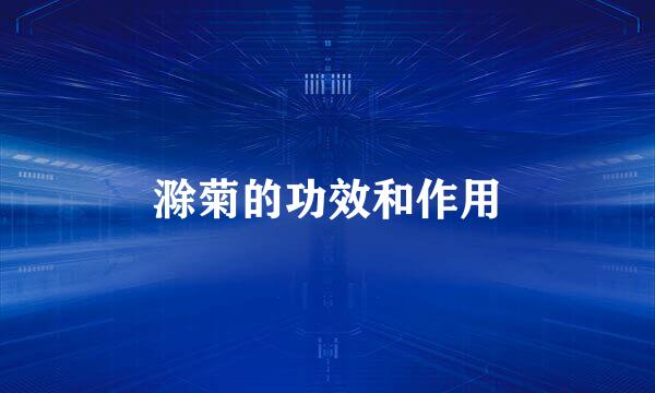 滁菊的功效和作用